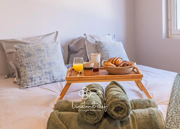 Evasion Centrale Avec Balcon, Ascenseur & Billard Daire *